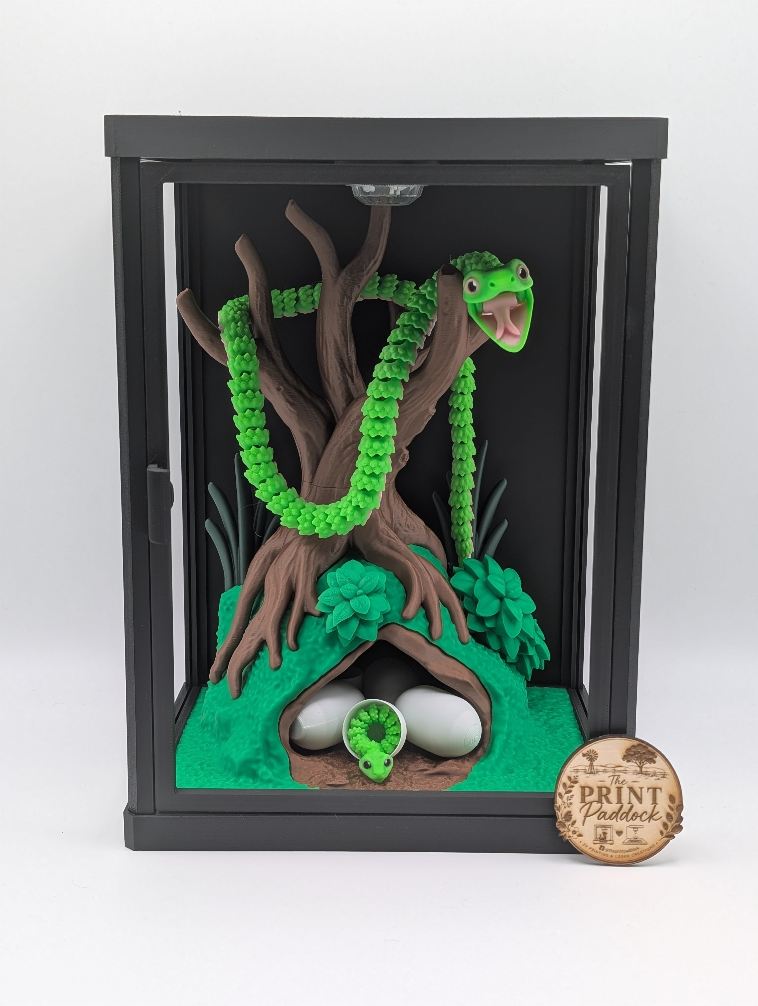 🐍✨ Green Tree Snake Enclosure ✨🐍