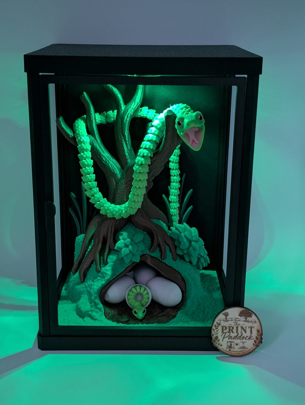 🐍✨ Green Tree Snake Enclosure ✨🐍