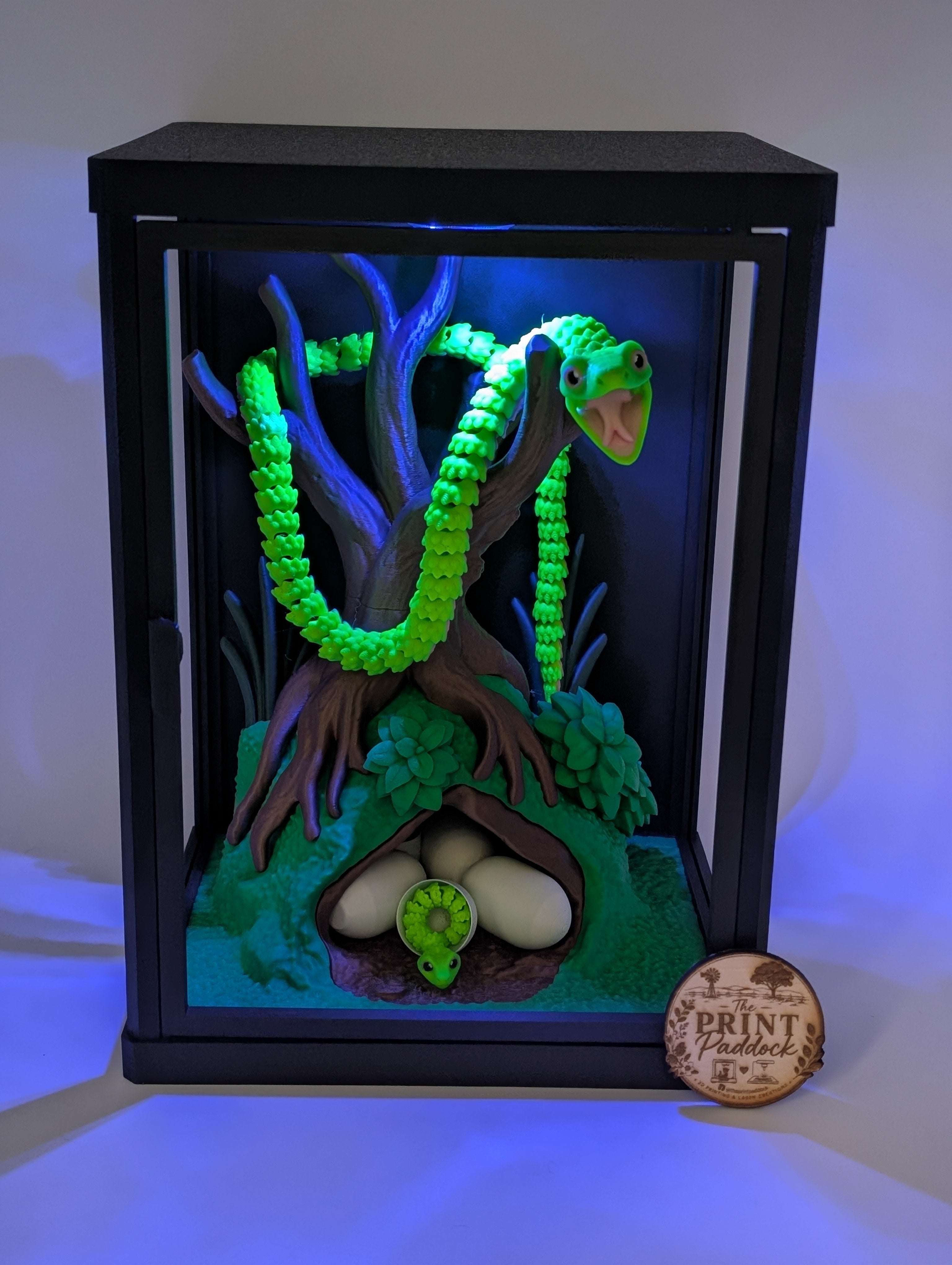 🐍✨ Green Tree Snake Enclosure ✨🐍