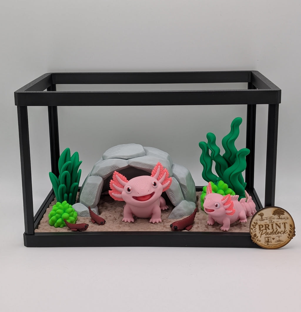 🩷✨ Axolotl Enclosure ✨🩷