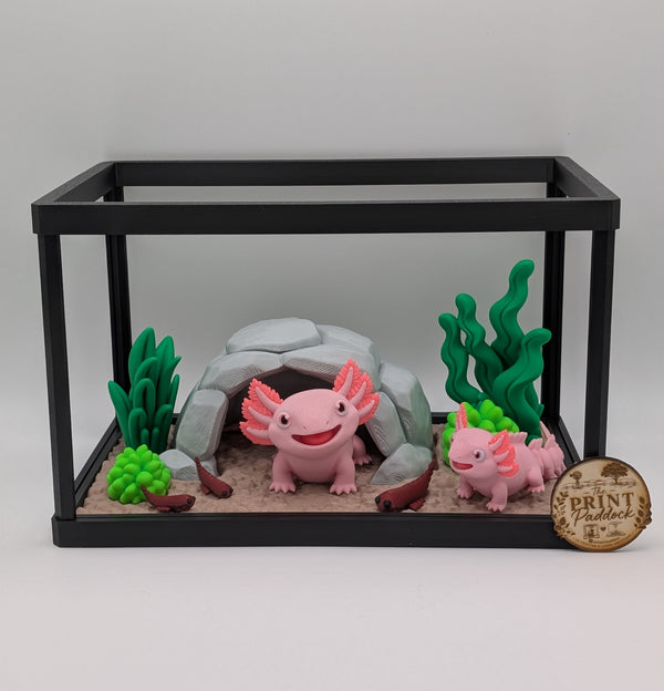 🩷✨ Axolotl Enclosure ✨🩷