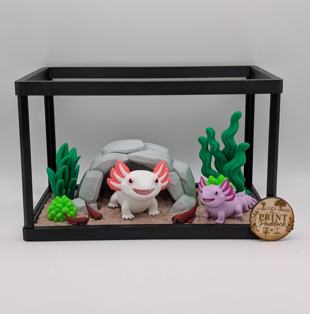 🩷✨ Axolotl Enclosure ✨🩷