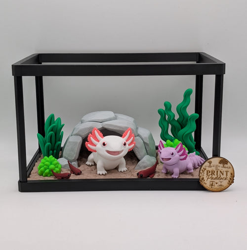 🩷✨ Axolotl Enclosure ✨🩷