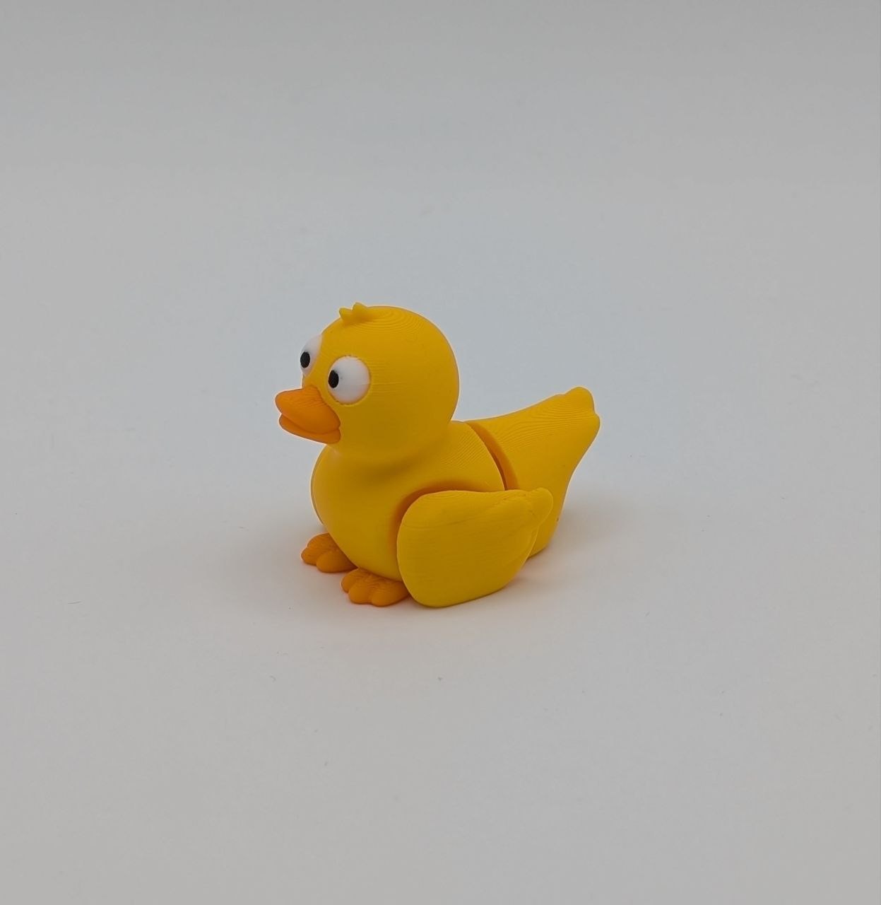🦆✨ Duck Paddock Pal ✨🦆