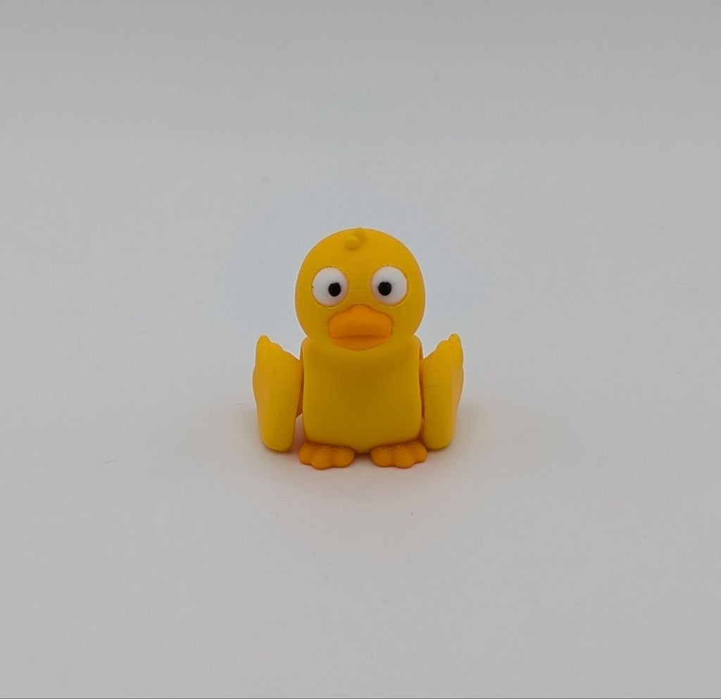 🦆✨ Duck Paddock Pal ✨🦆