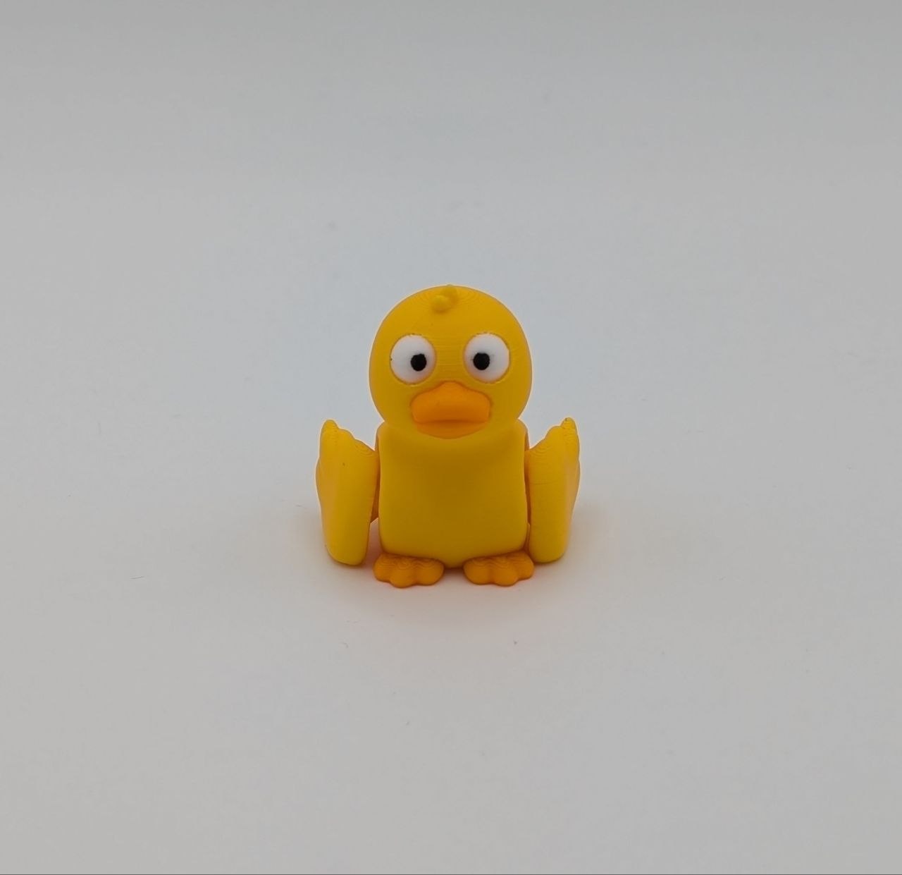 🦆✨ Duck Paddock Pal ✨🦆