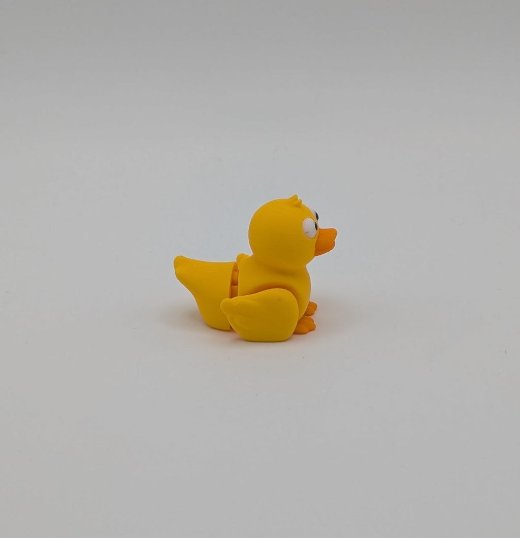 🦆✨ Duck Paddock Pal ✨🦆
