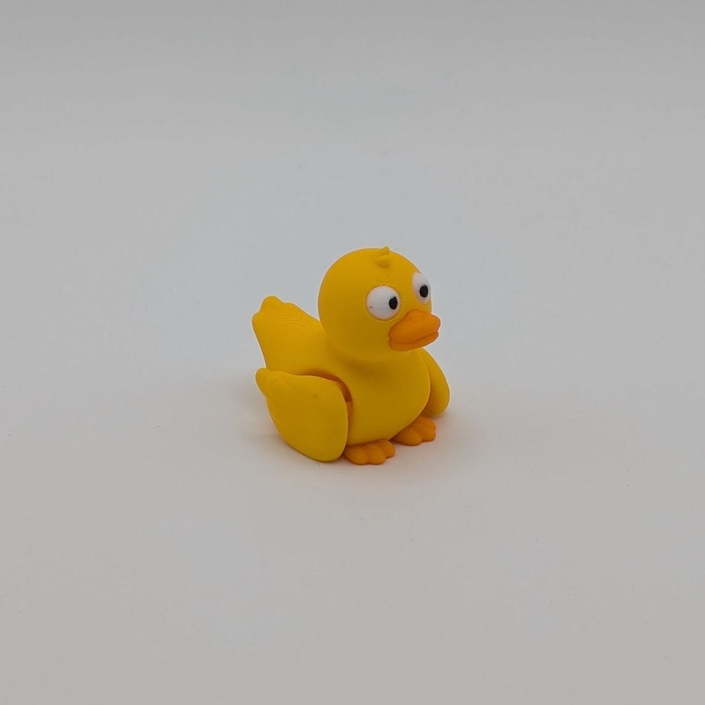 🦆✨ Duck Paddock Pal ✨🦆