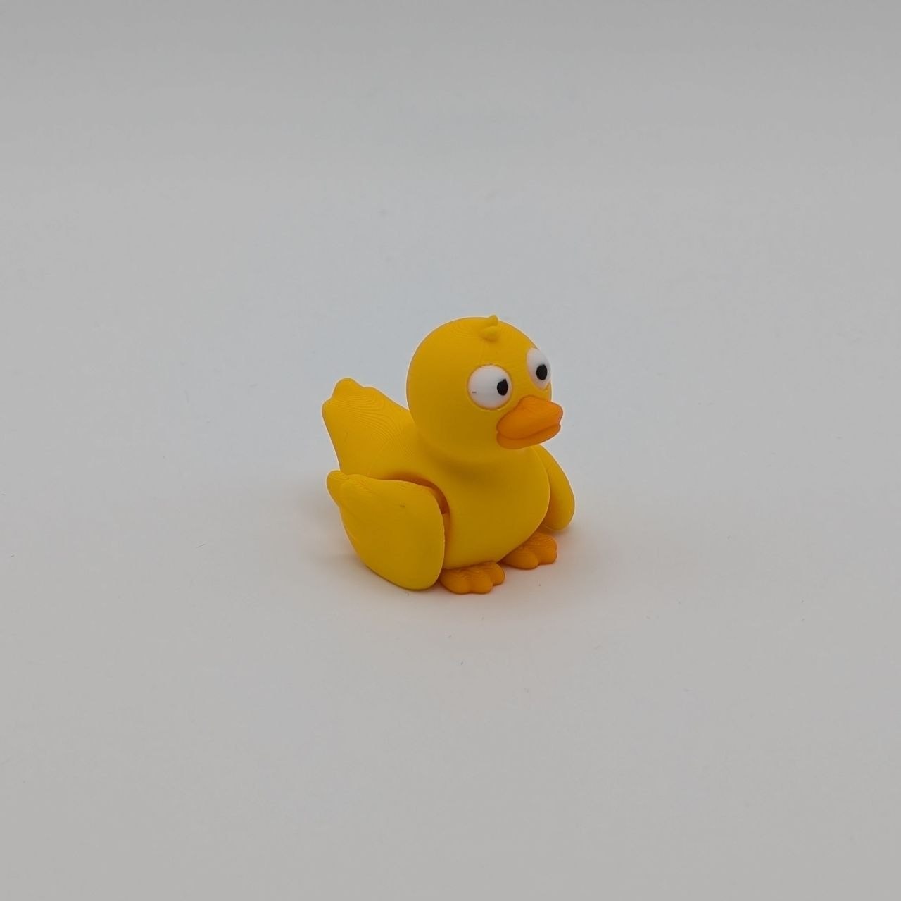 🦆✨ Duck Paddock Pal ✨🦆