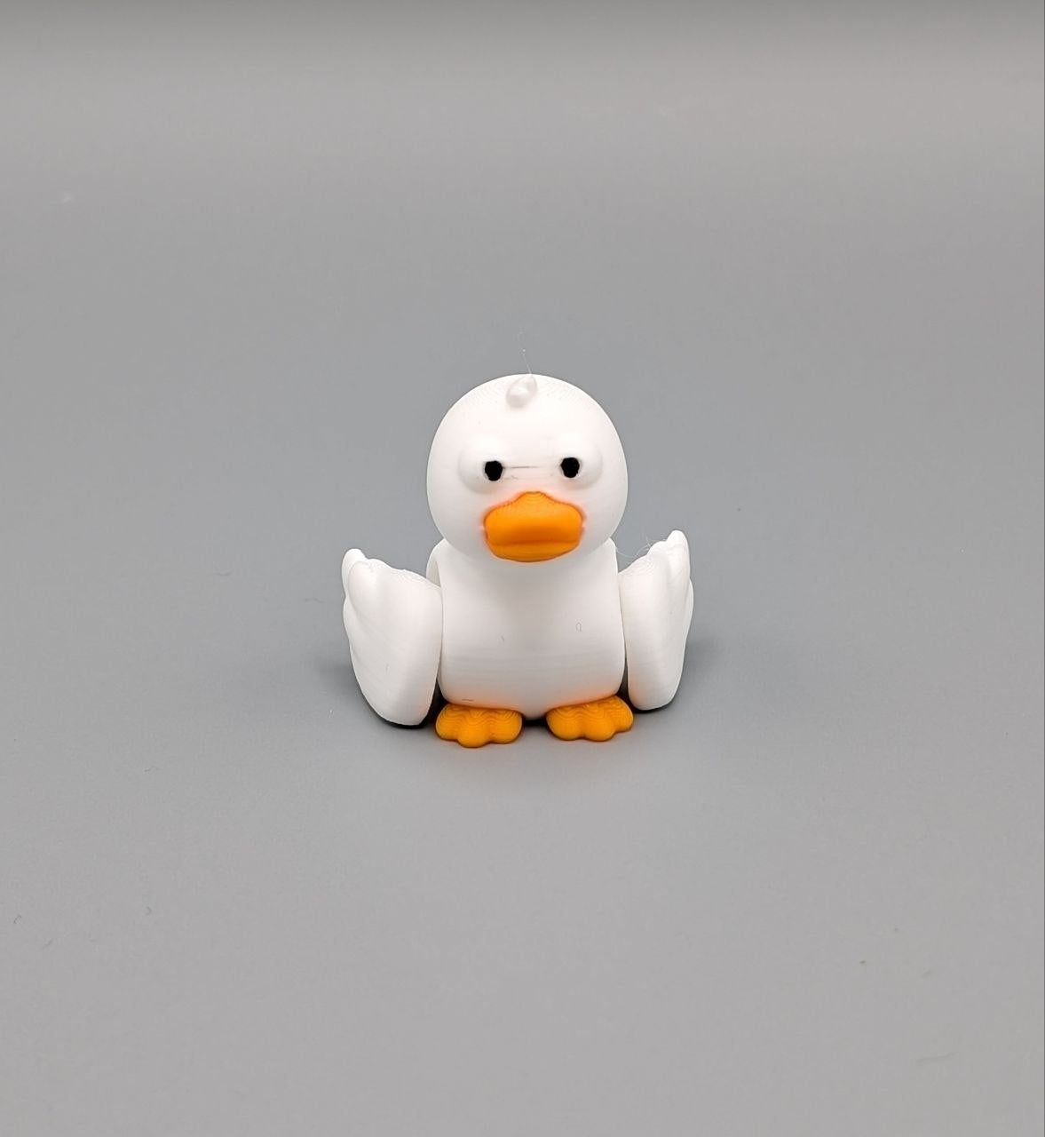 🦆✨ Duck Paddock Pal ✨🦆