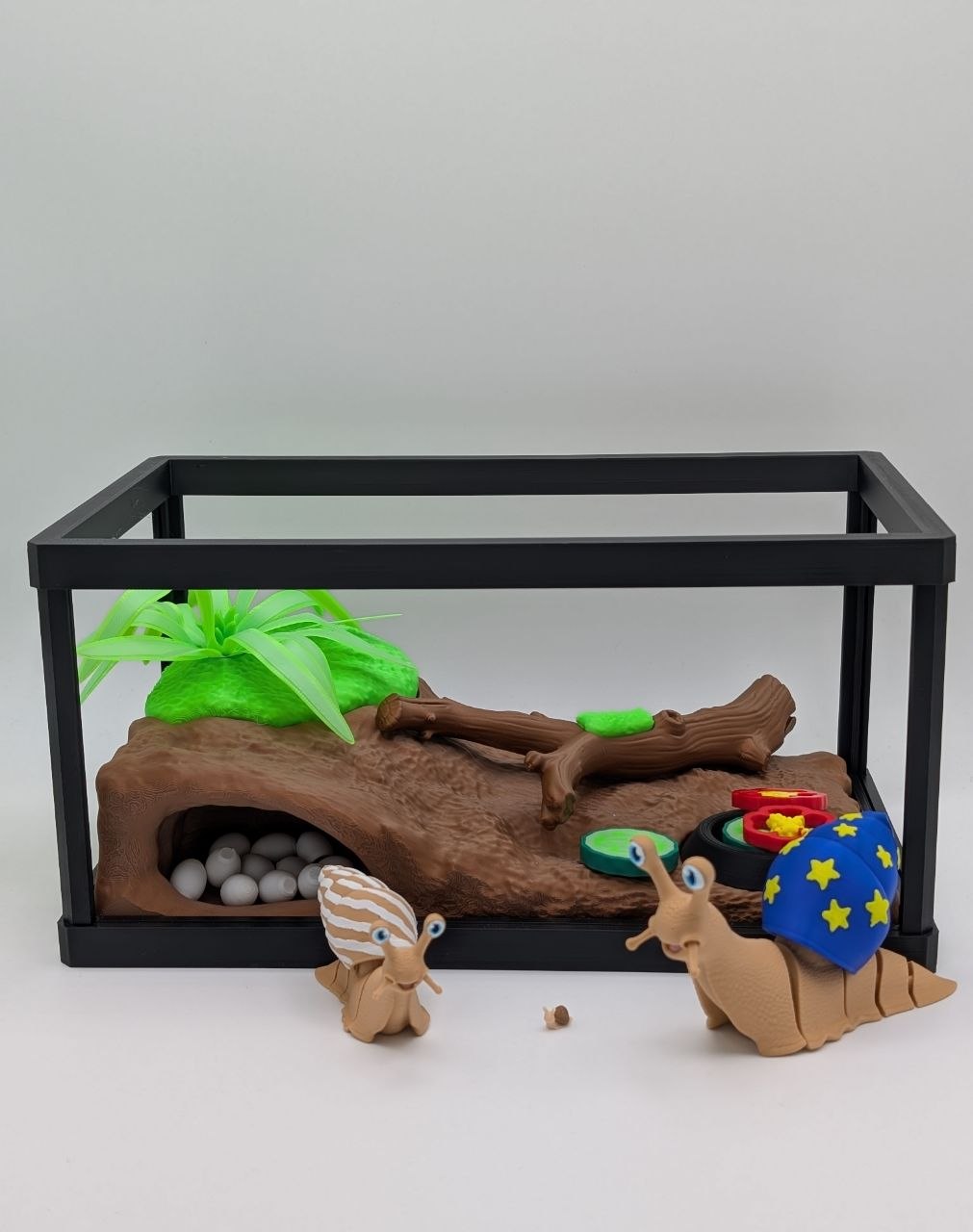 🐌🌿 Snail Enclosure 🌿🐌