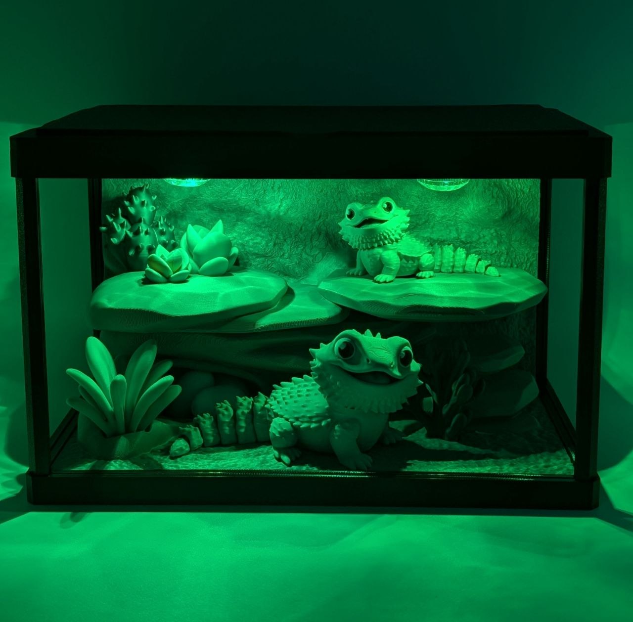 🦎✨ Bearded Dragon Enclosure ✨🦎