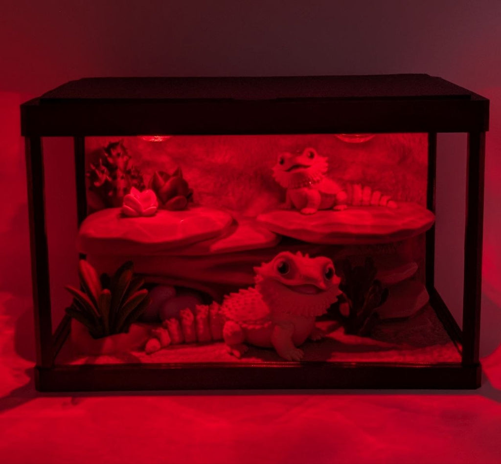 🦎✨ Bearded Dragon Enclosure ✨🦎