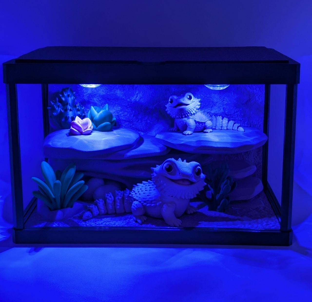 🦎✨ Bearded Dragon Enclosure ✨🦎