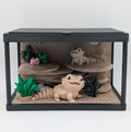 🦎✨ Bearded Dragon Enclosure ✨🦎