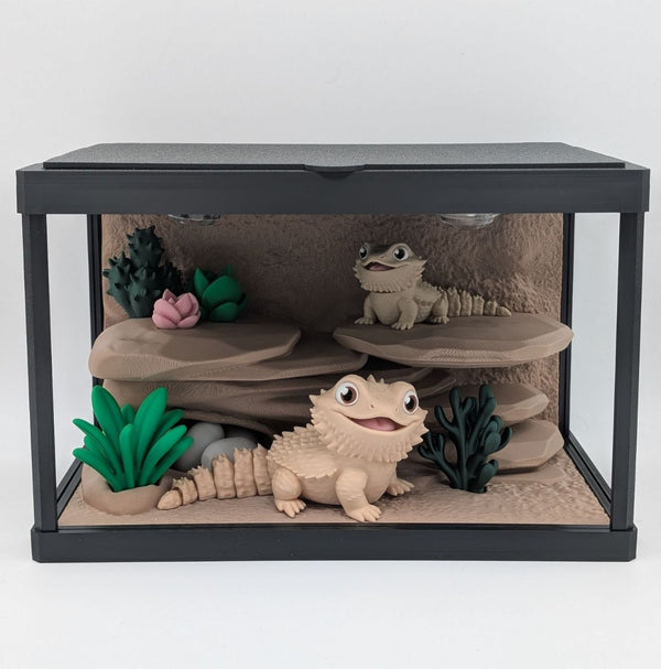 🦎✨ Bearded Dragon Enclosure ✨🦎
