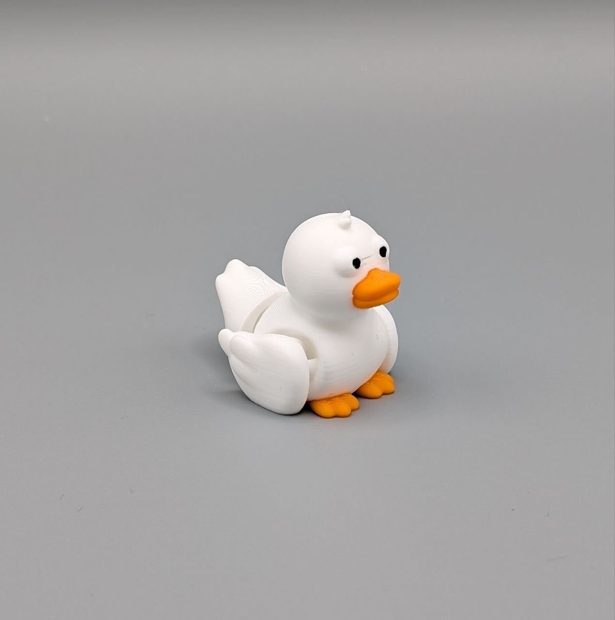 🦆✨ Duck Paddock Pal ✨🦆
