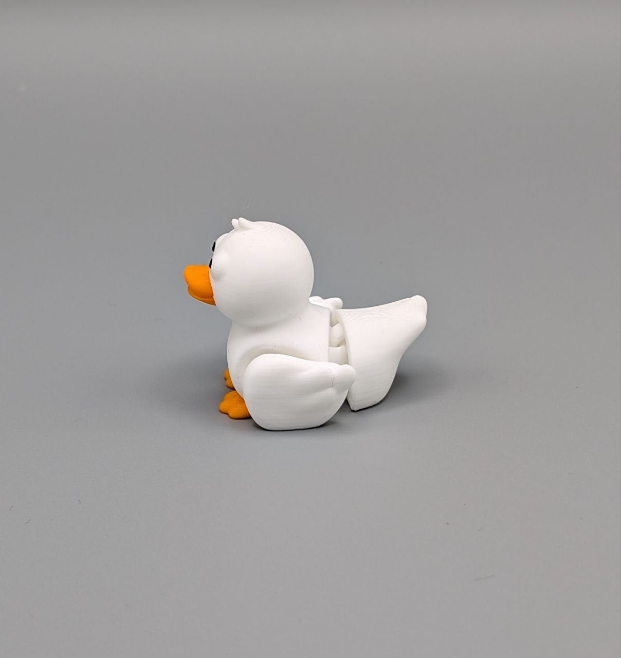 🦆✨ Duck Paddock Pal ✨🦆