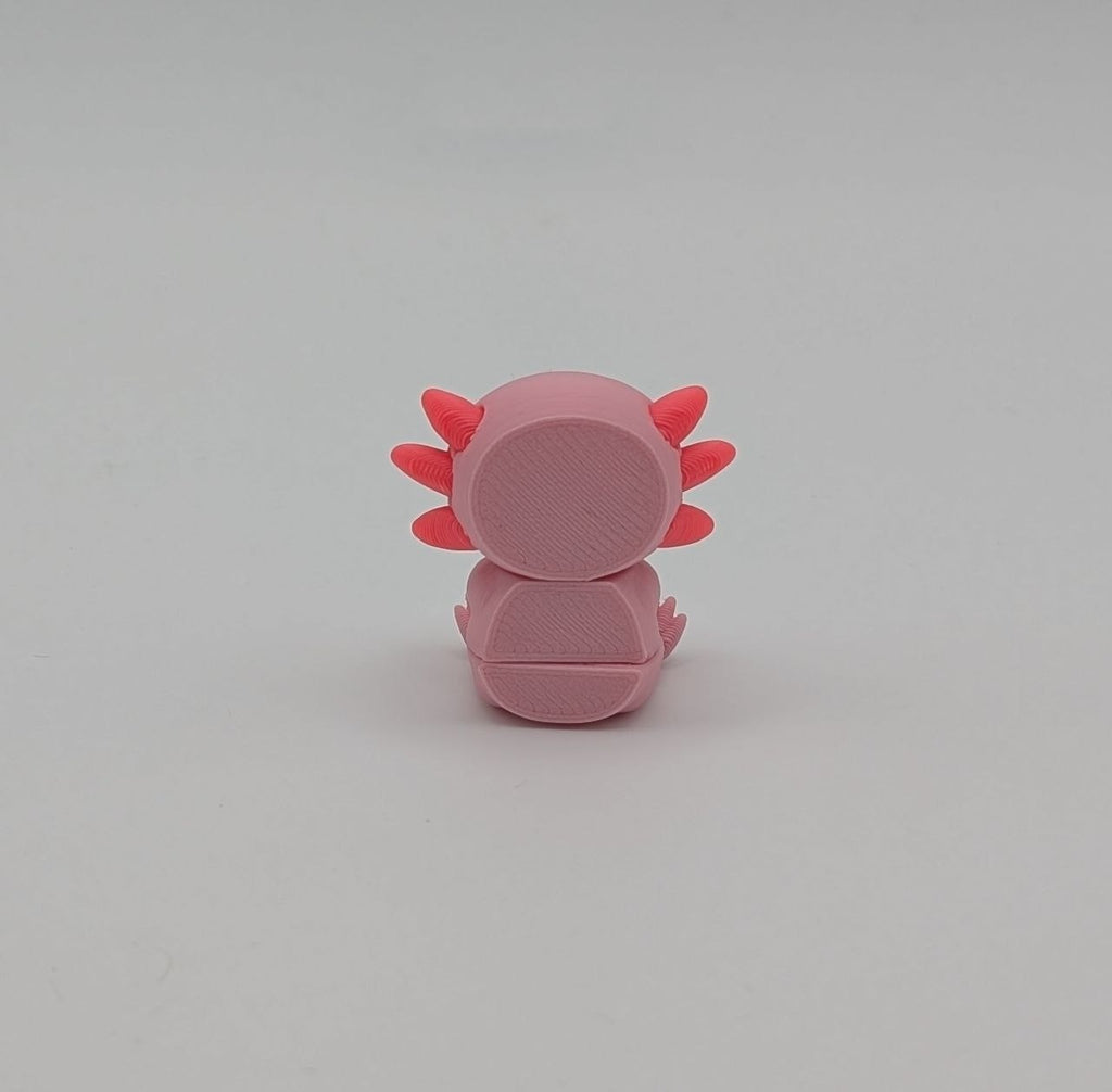 🩷✨ Axolotl Paddock Pal (Mini) ✨🩷
