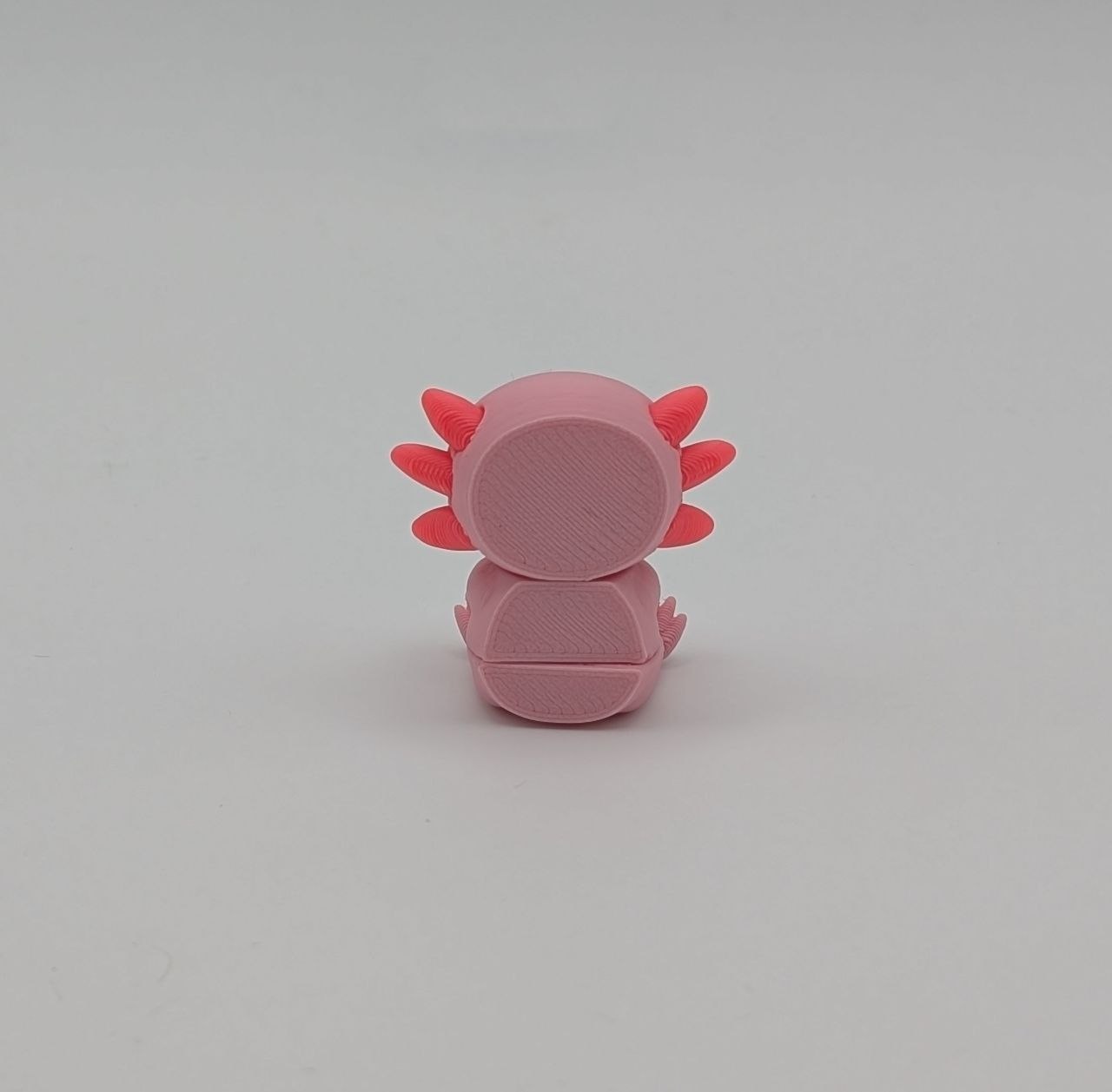🩷✨ Axolotl Paddock Pal (Mini) ✨🩷