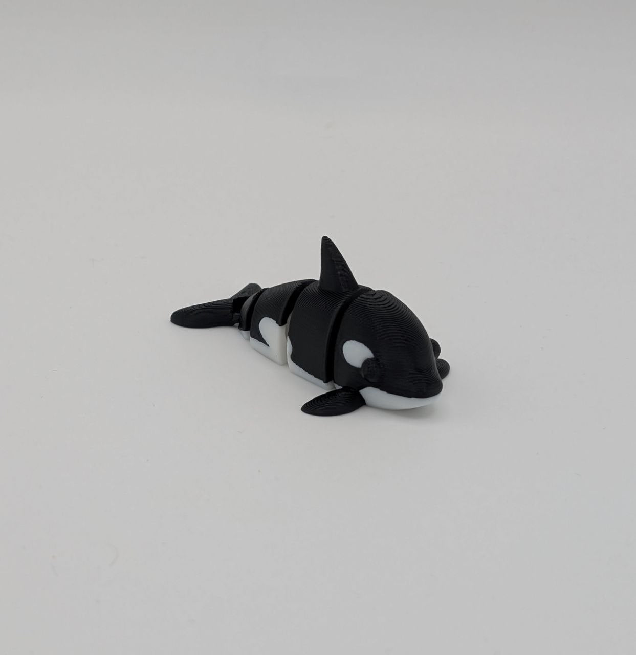 🐋✨ Orca Paddock Pal (Mini) ✨🐋