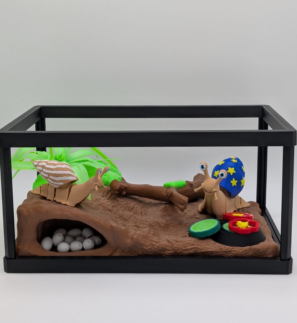 🐌🌿 Snail Enclosure 🌿🐌