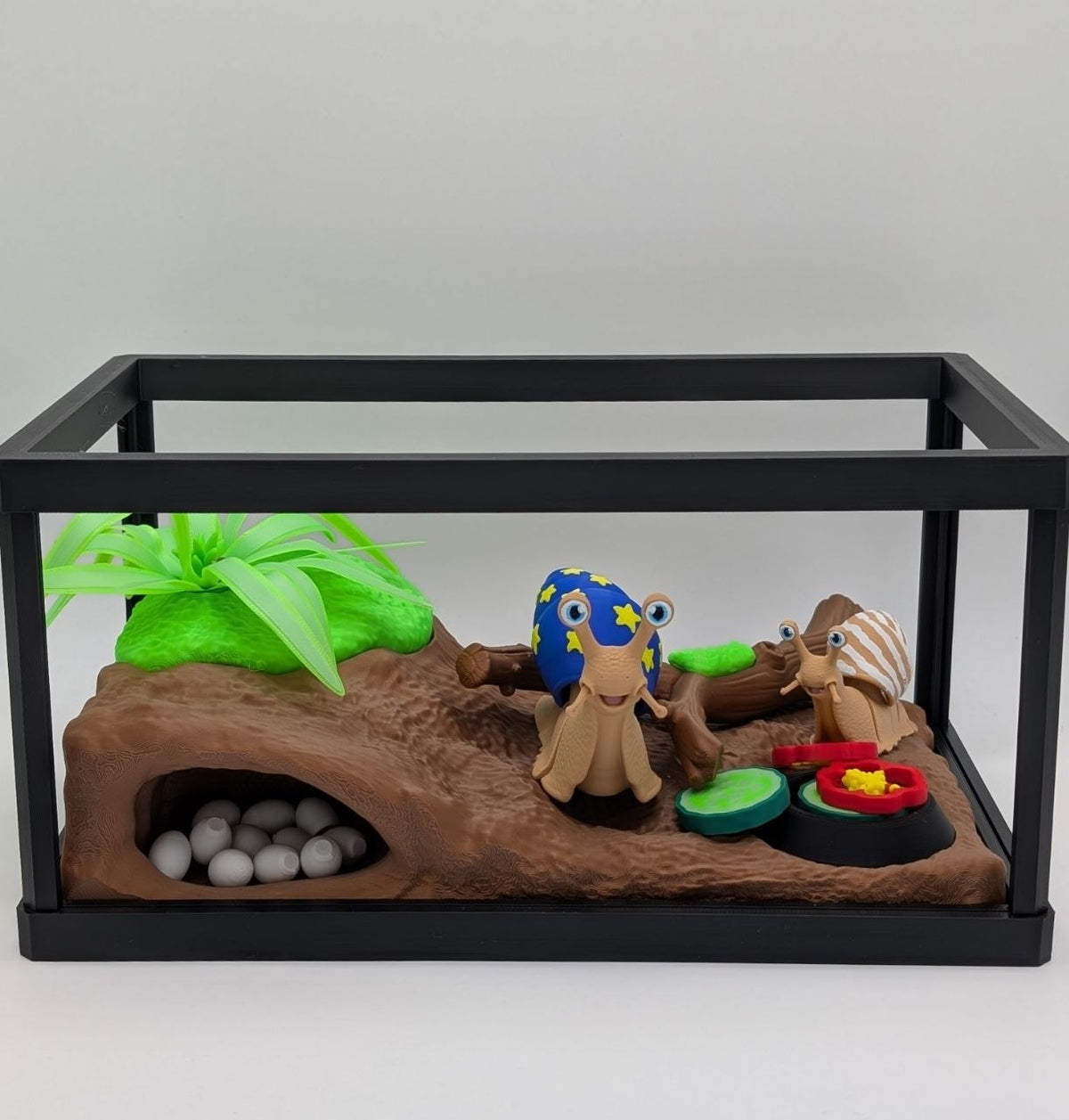 🐌🌿 Snail Enclosure 🌿🐌