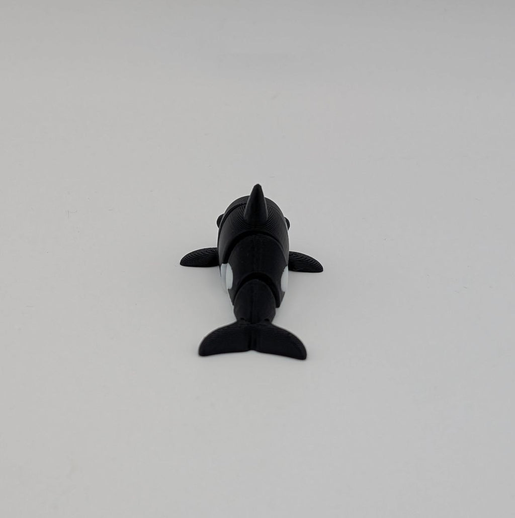 🐋✨ Orca Paddock Pal (Mini) ✨🐋