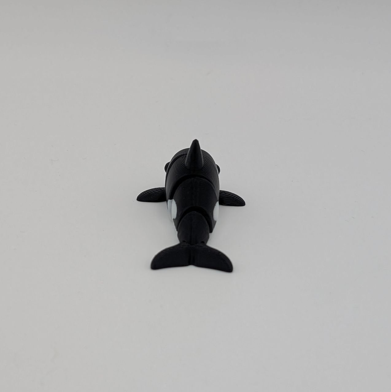 🐋✨ Orca Paddock Pal (Mini) ✨🐋