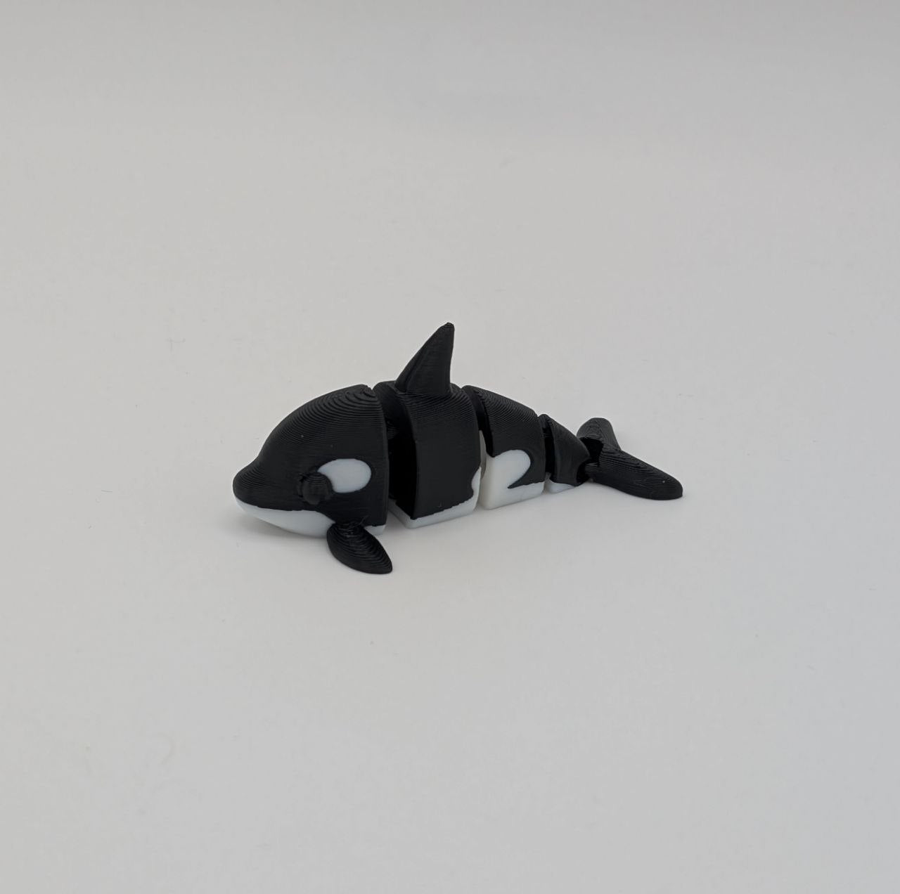 🐋✨ Orca Paddock Pal (Mini) ✨🐋
