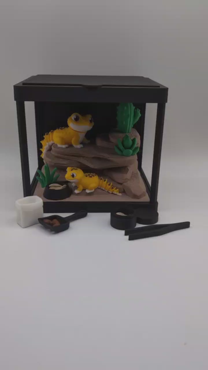 🦎✨ Gecko Enclosure ✨🦎
