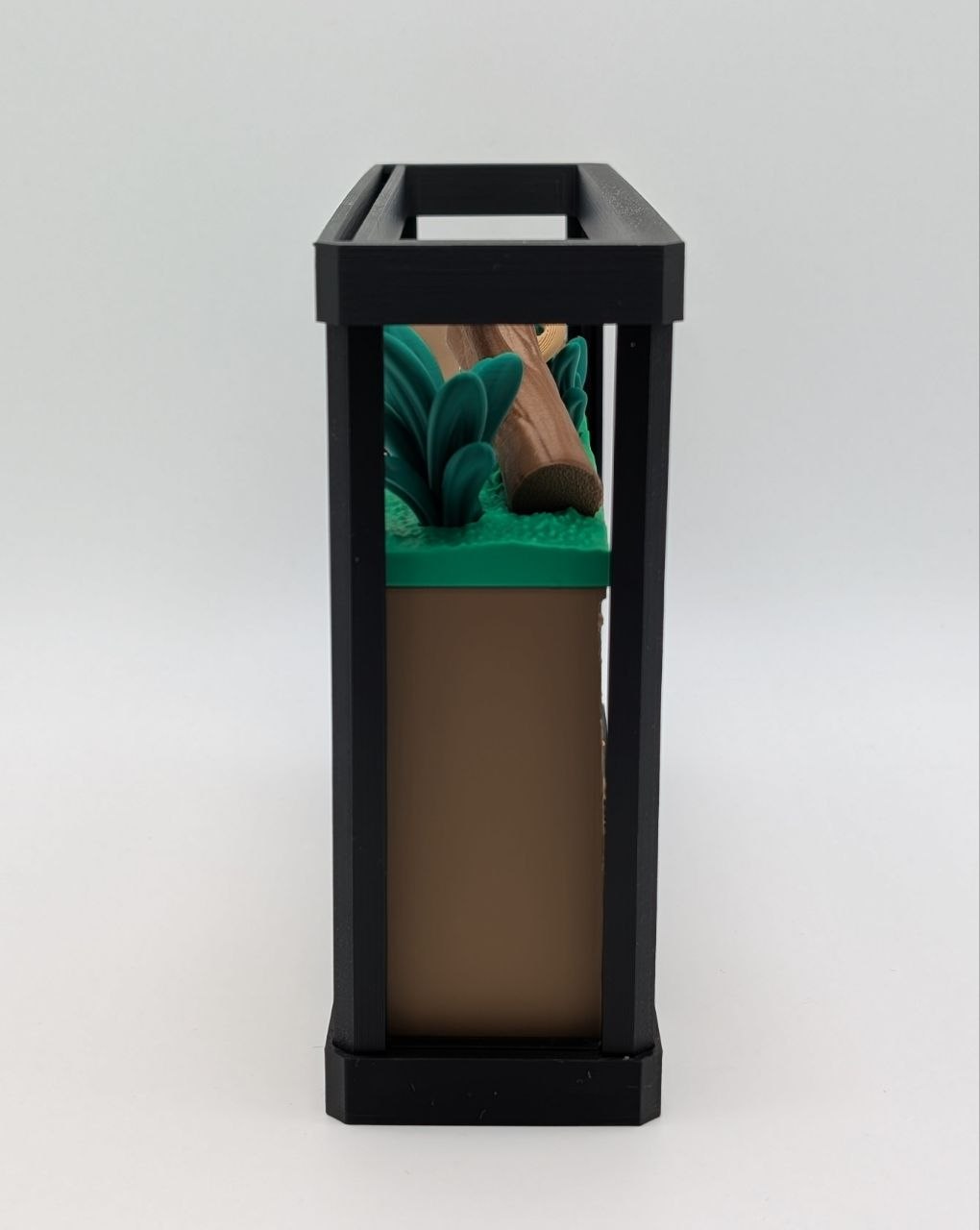🐜🪲 Insect Enclosure 🪲🐜