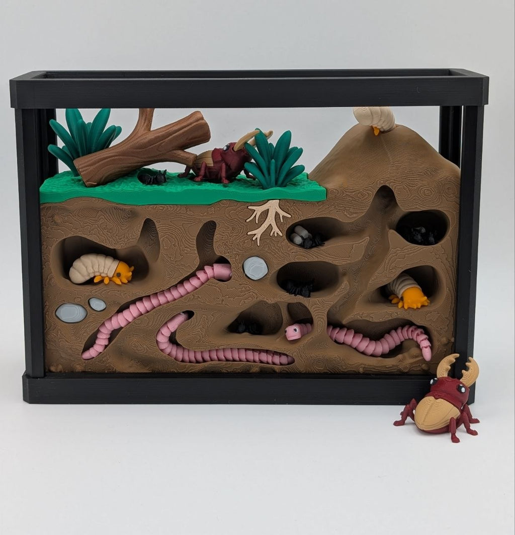 🐜🪲 Insect Enclosure 🪲🐜