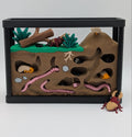 🐜🪲 Insect Enclosure 🪲🐜