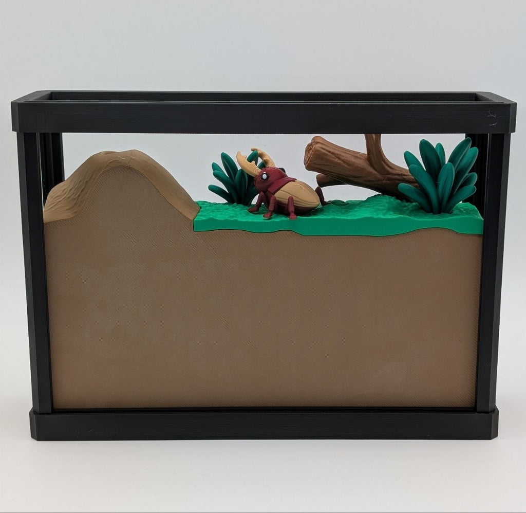🐜🪲 Insect Enclosure 🪲🐜