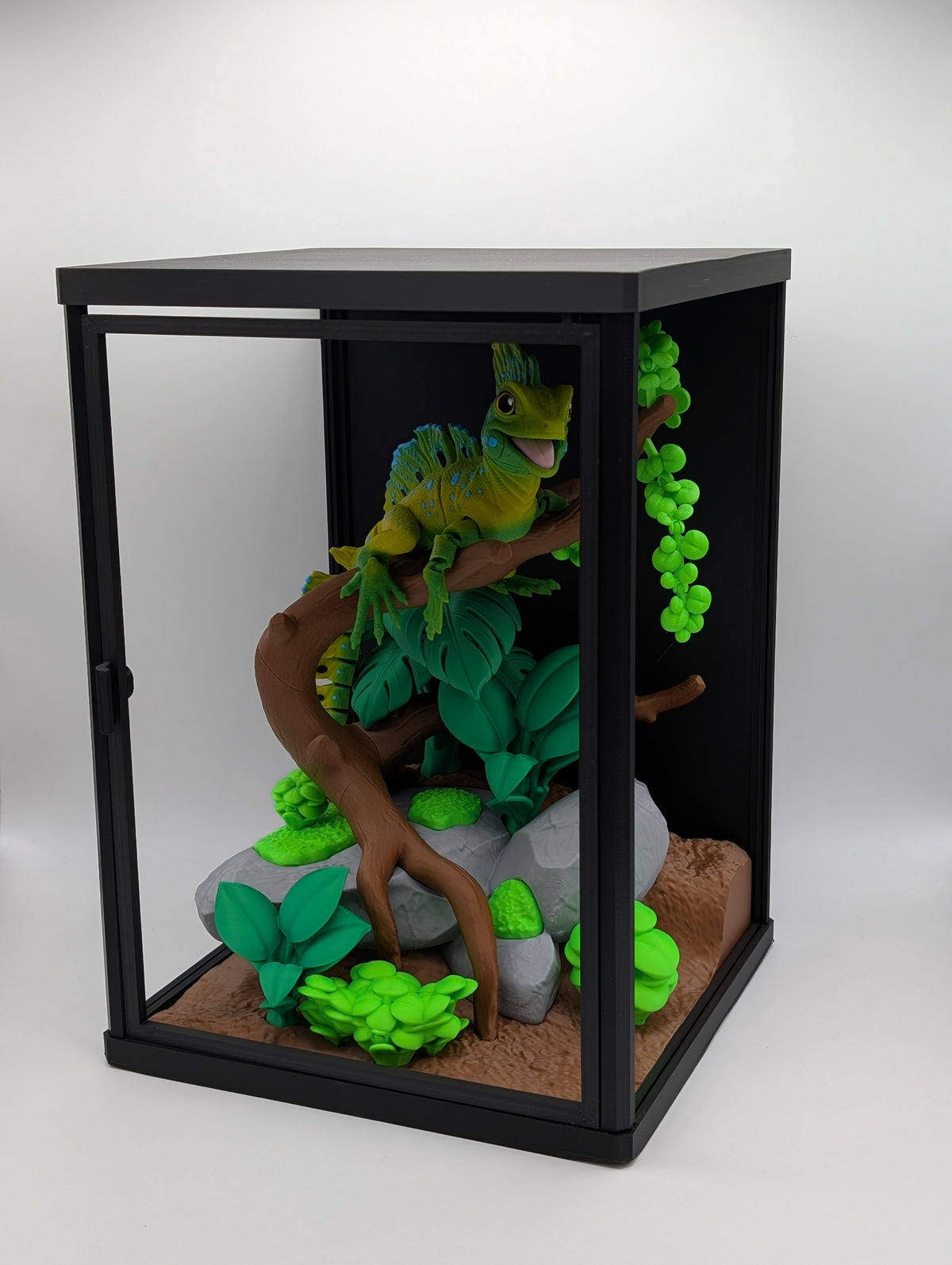 🦎🌿 Plumed Basilisk Jungle Enclosure 🌿🦎
