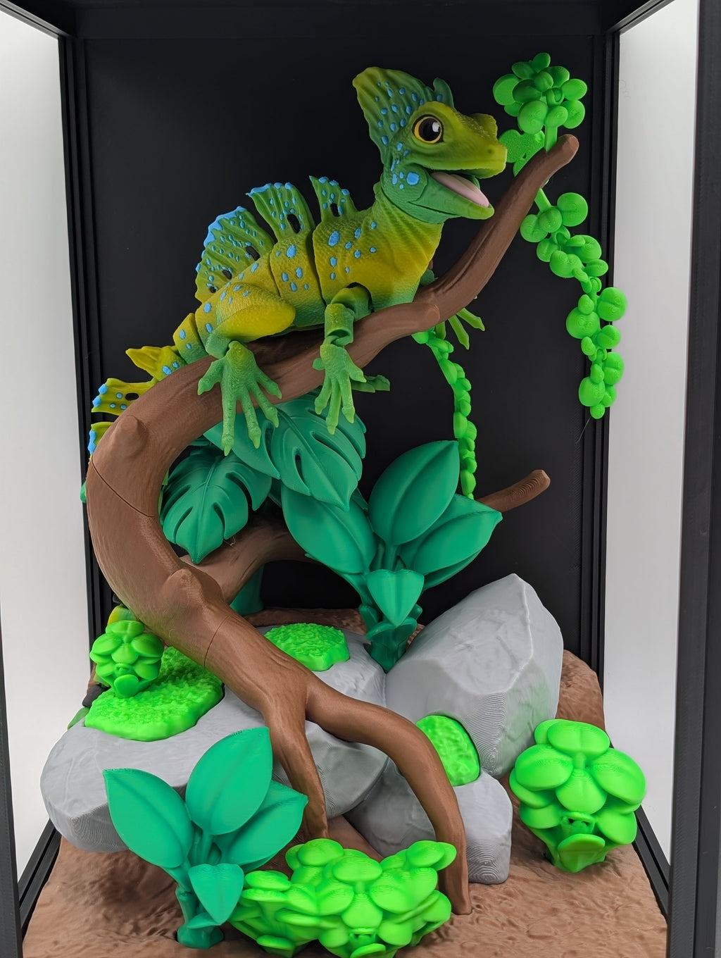 🦎🌿 Plumed Basilisk Jungle Enclosure 🌿🦎