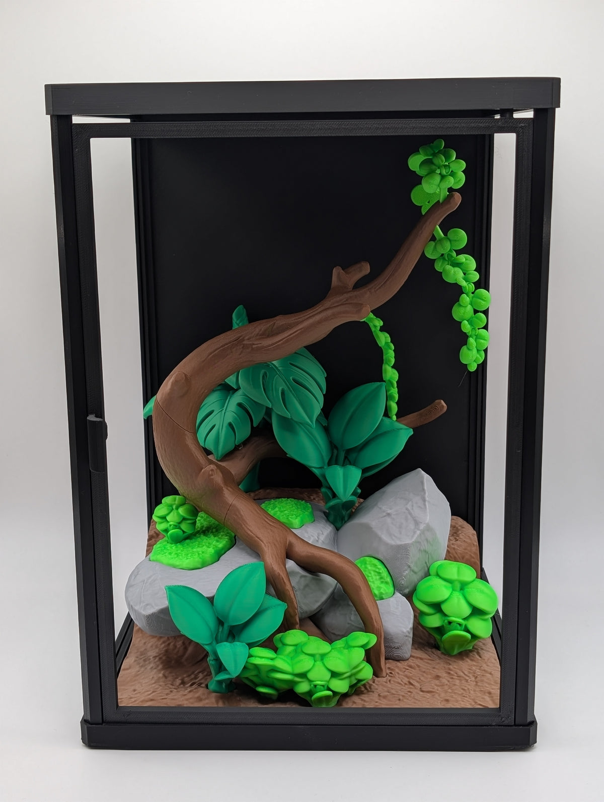 🦎🌿 Plumed Basilisk Jungle Enclosure 🌿🦎