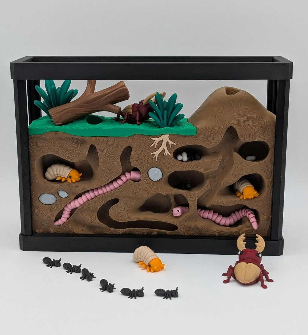 🐜🪲 Insect Enclosure 🪲🐜