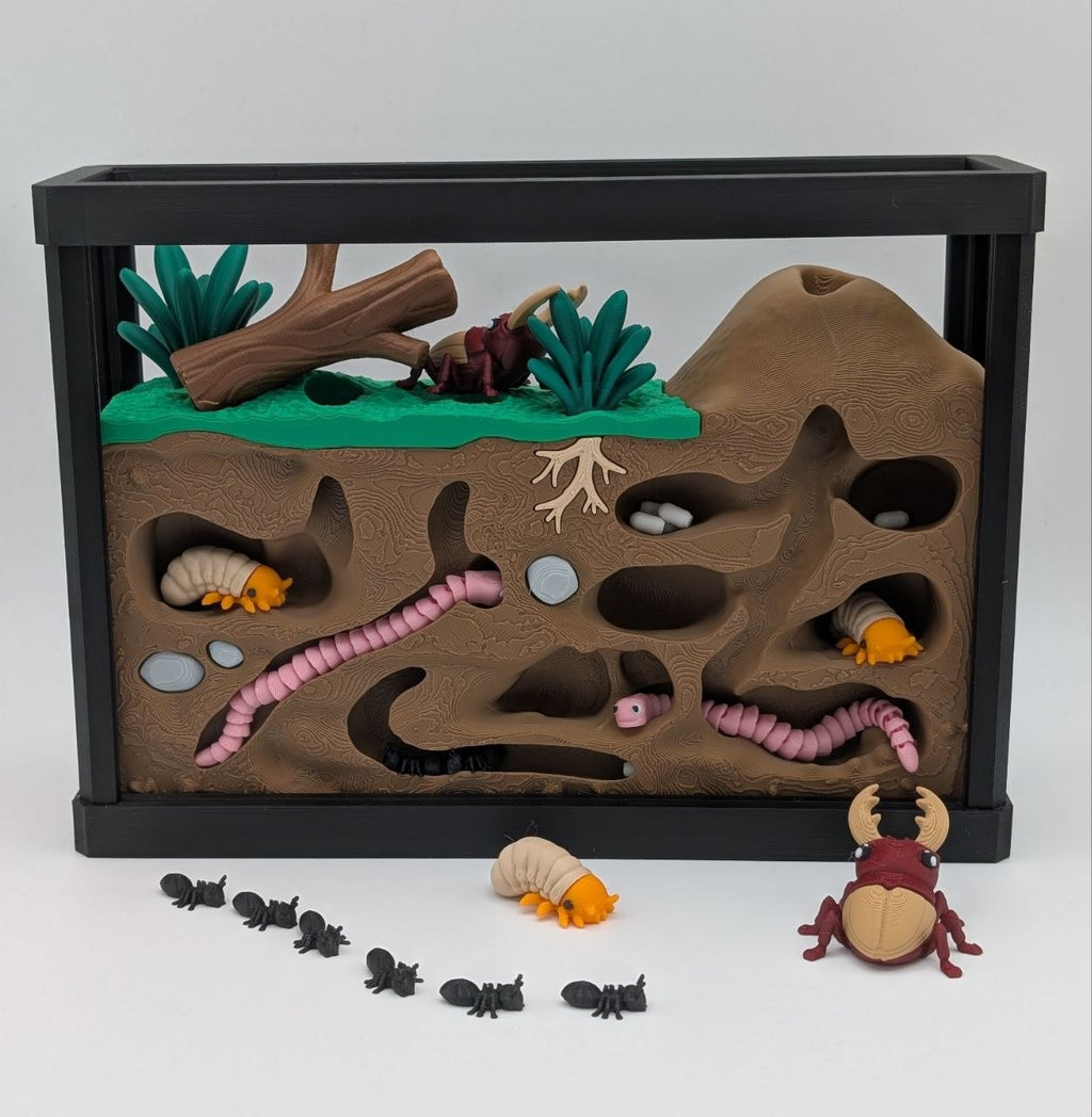 🐜🪲 Insect Enclosure 🪲🐜