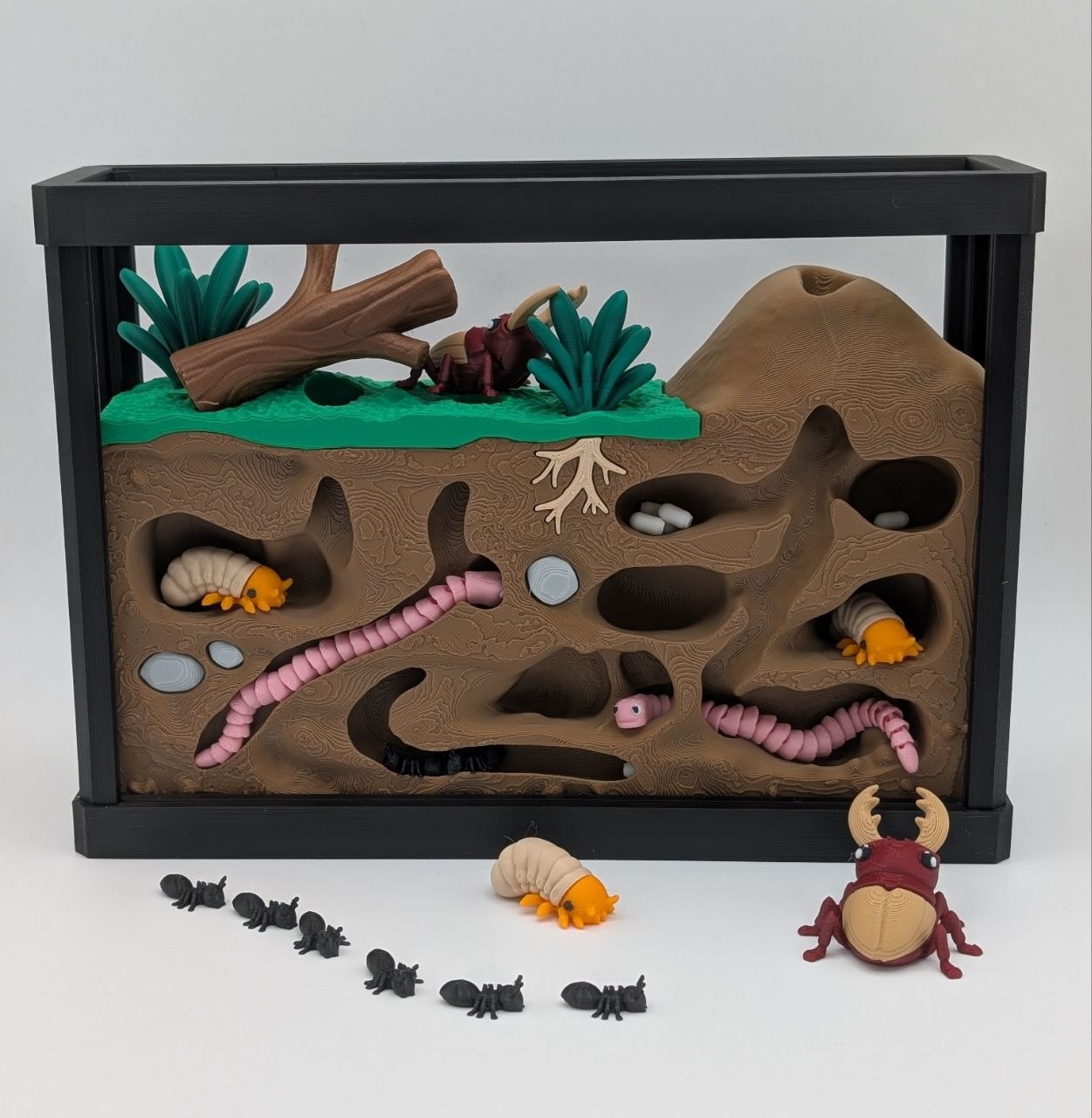 🐜🪲 Insect Enclosure 🪲🐜